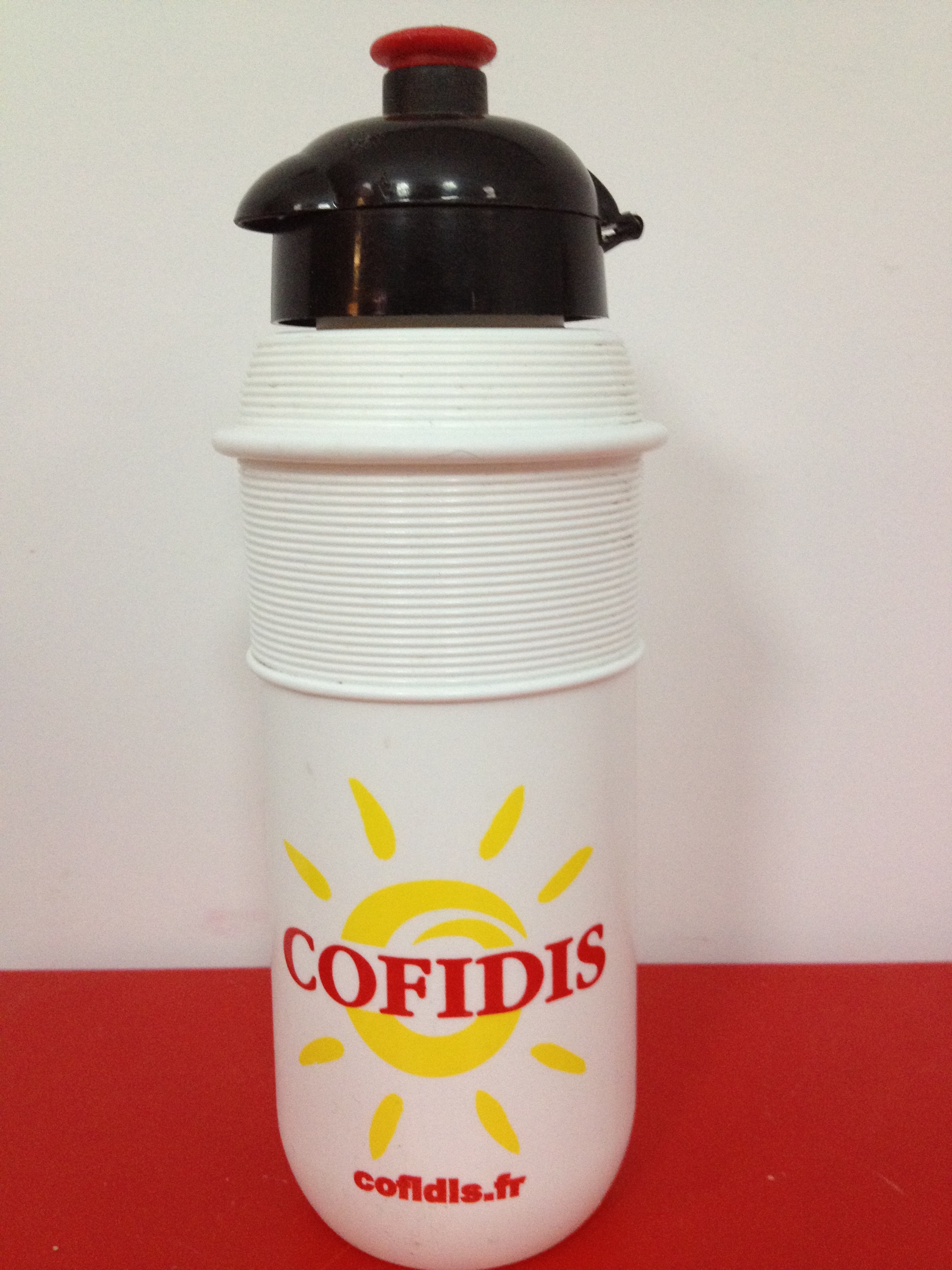 Cofidis, Le Crédit Par Téléphone 2002