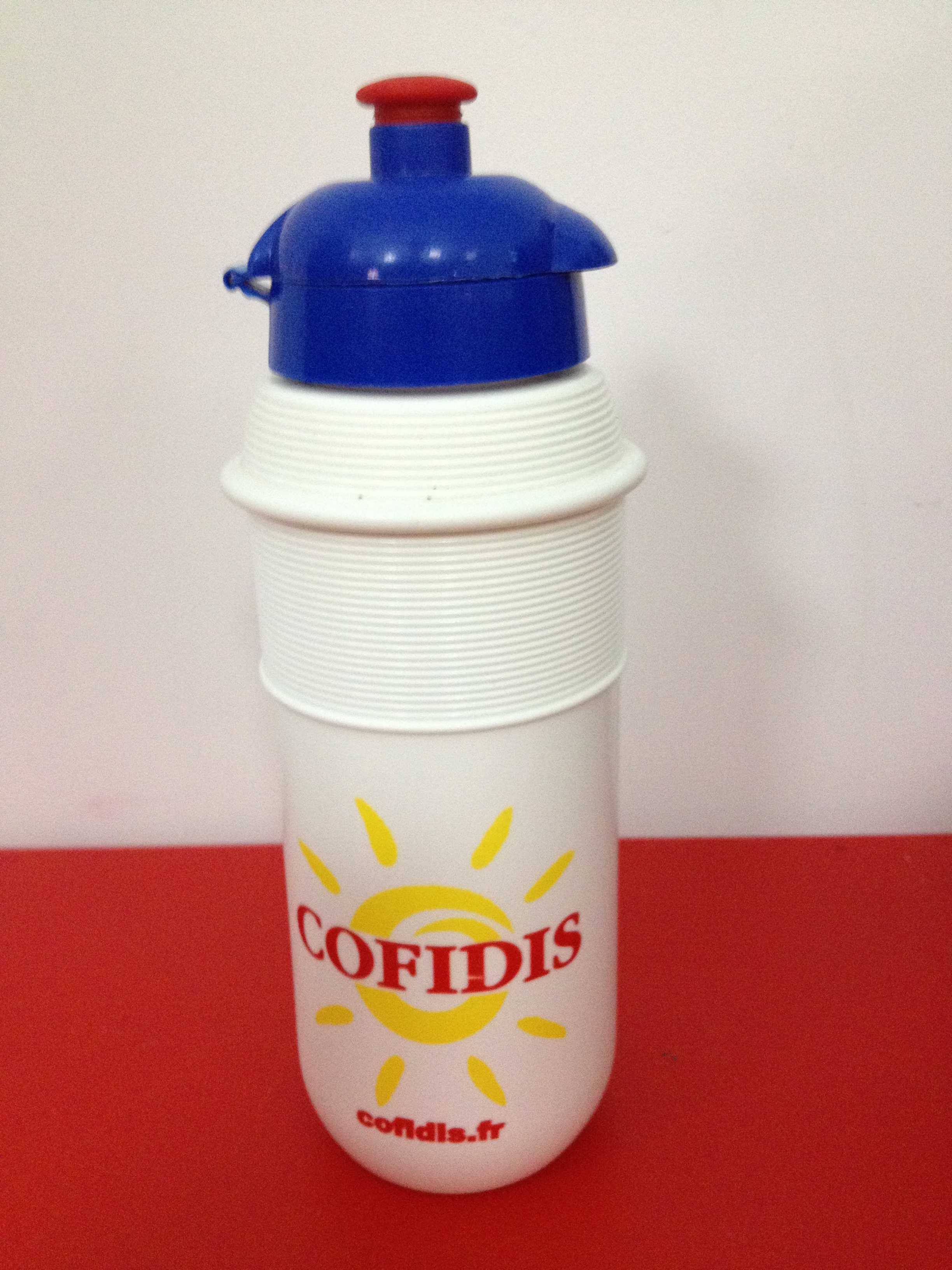 Cofidis, Le Crédit Par Téléphone 2002