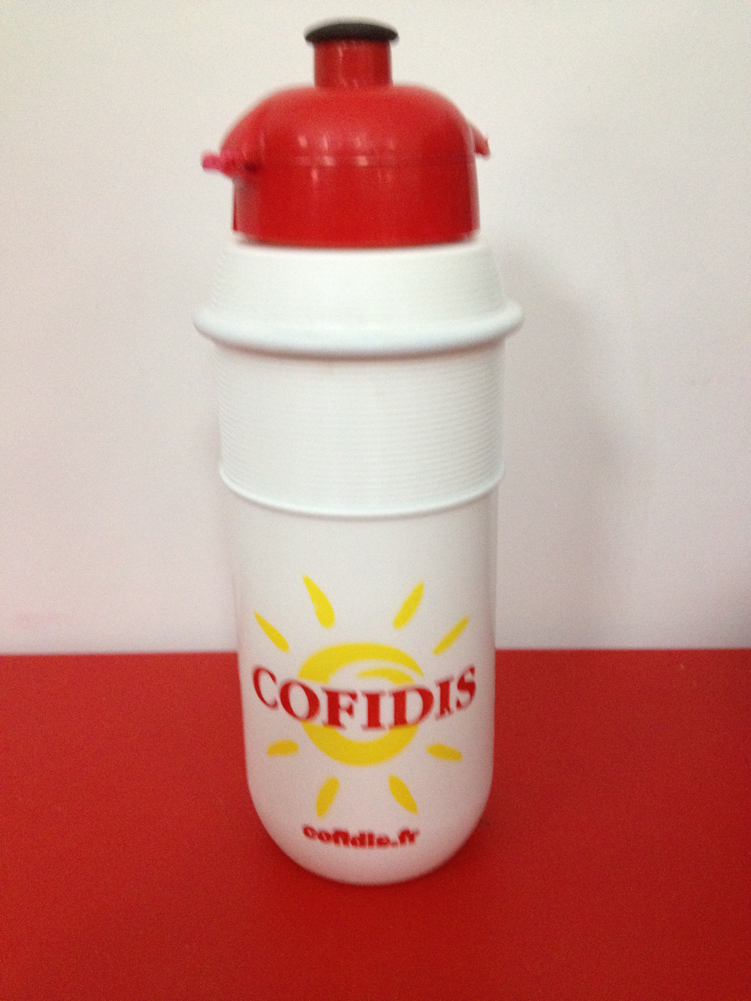Cofidis, Le Crédit Par Téléphone 2002