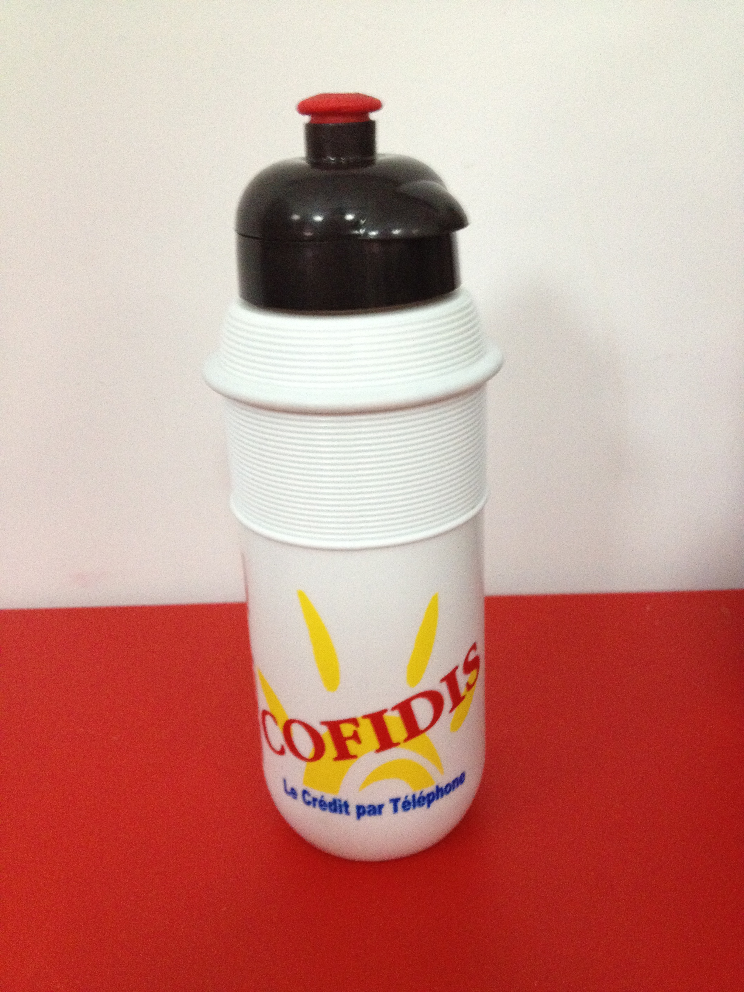 Cofidis, Le Crédit Par Téléphone 2005