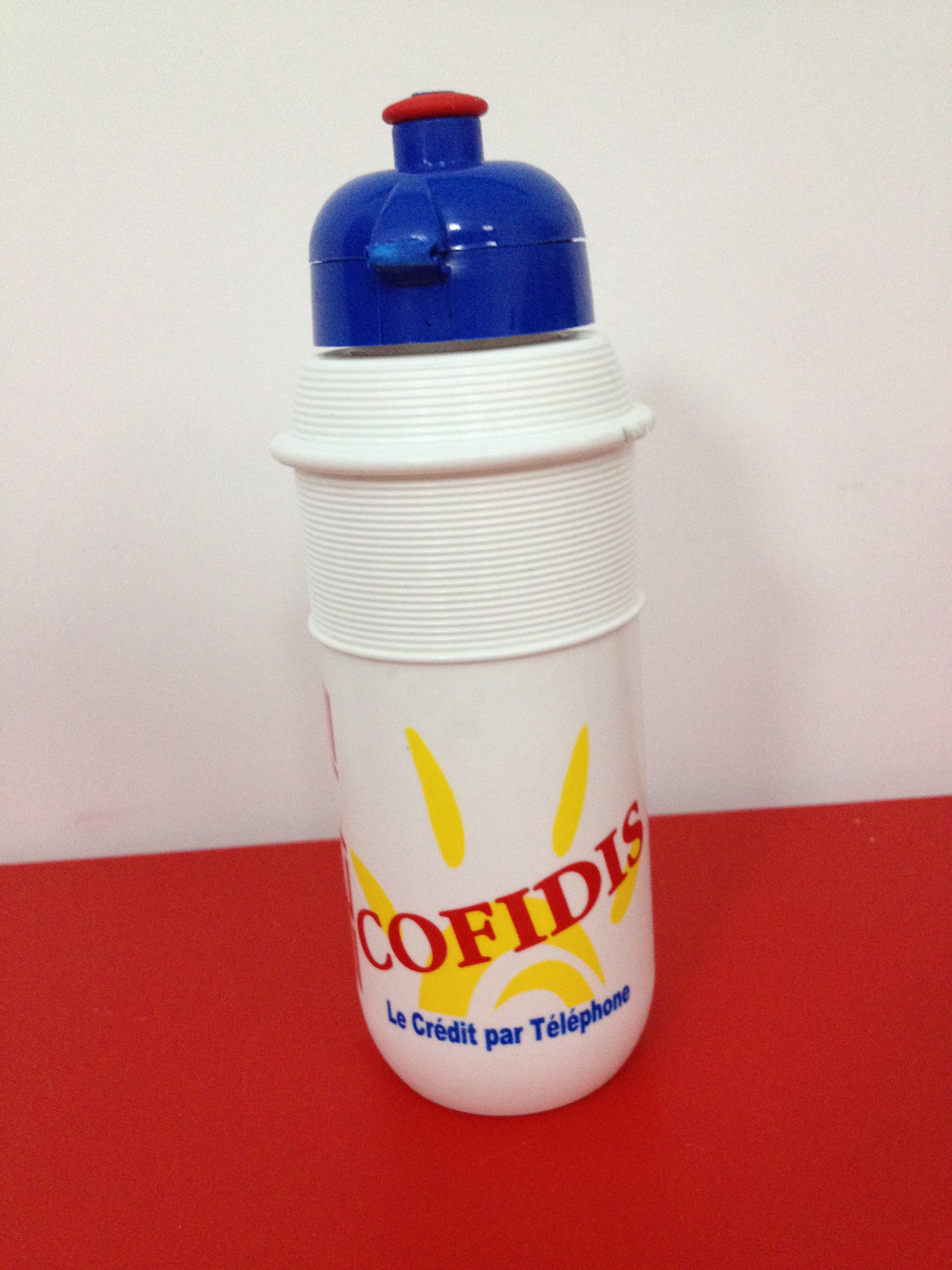 Cofidis, Le Crédit Par Téléphone 2005