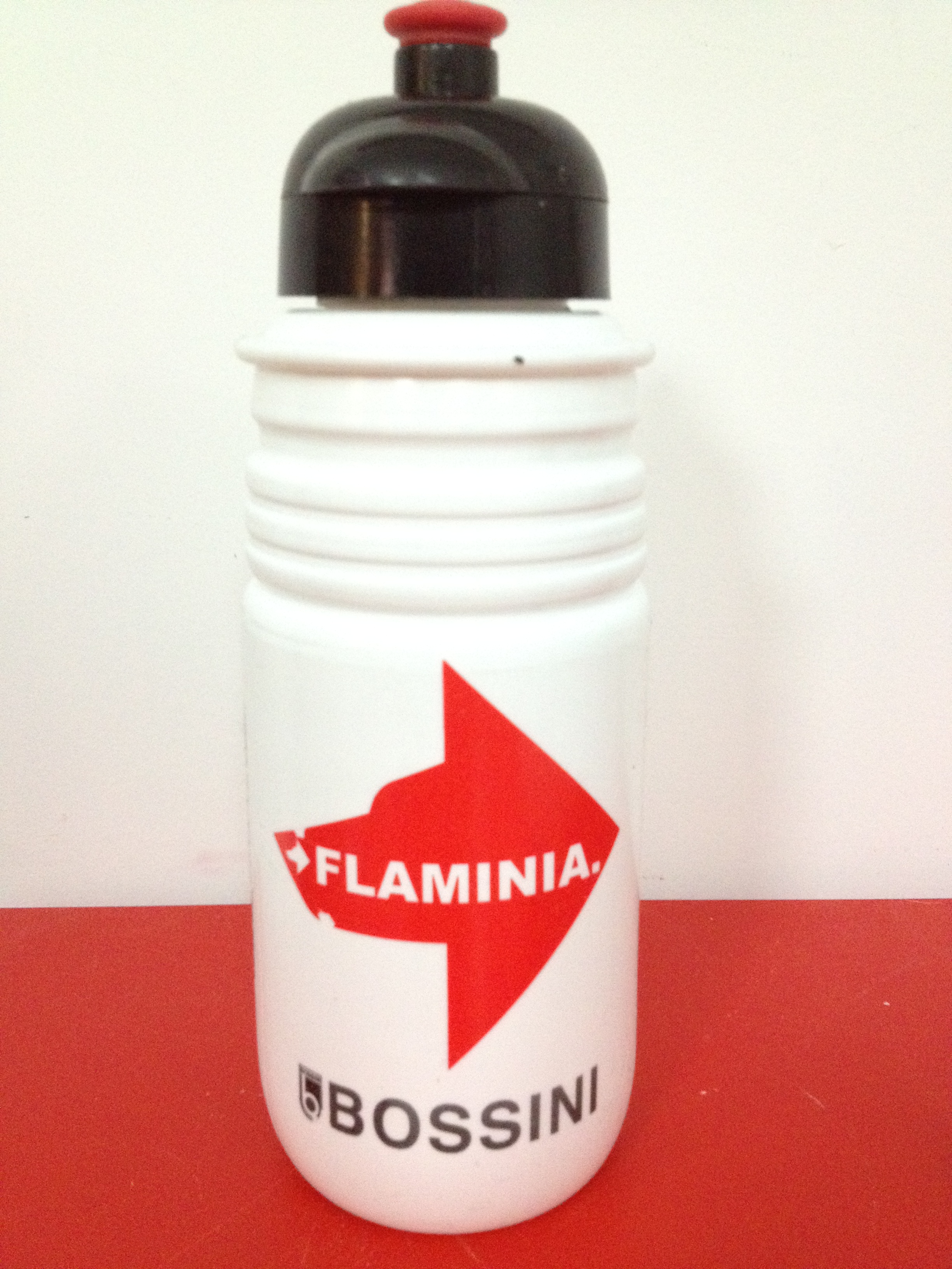 Flaminia 2007 08