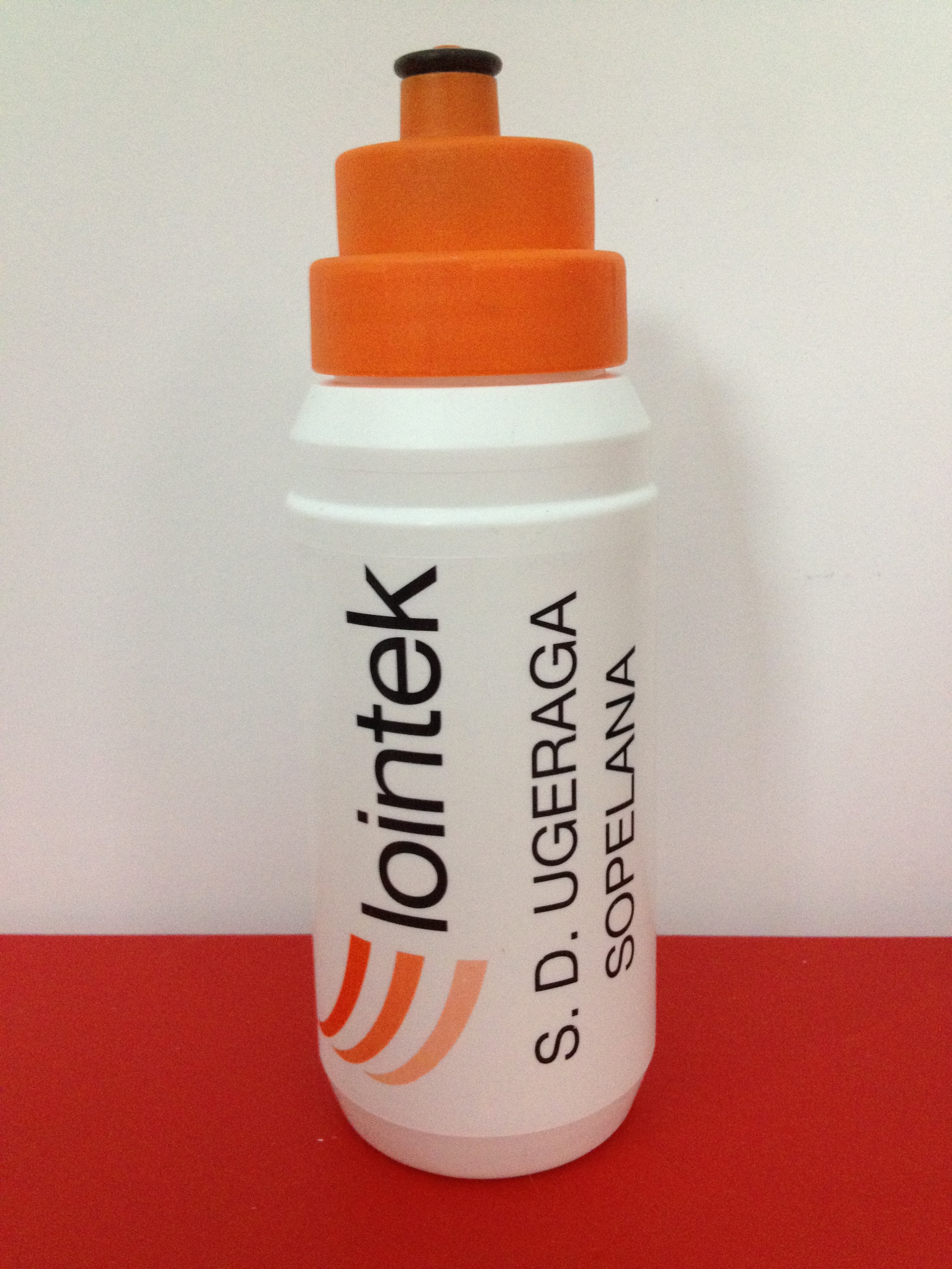 Lointek 2010