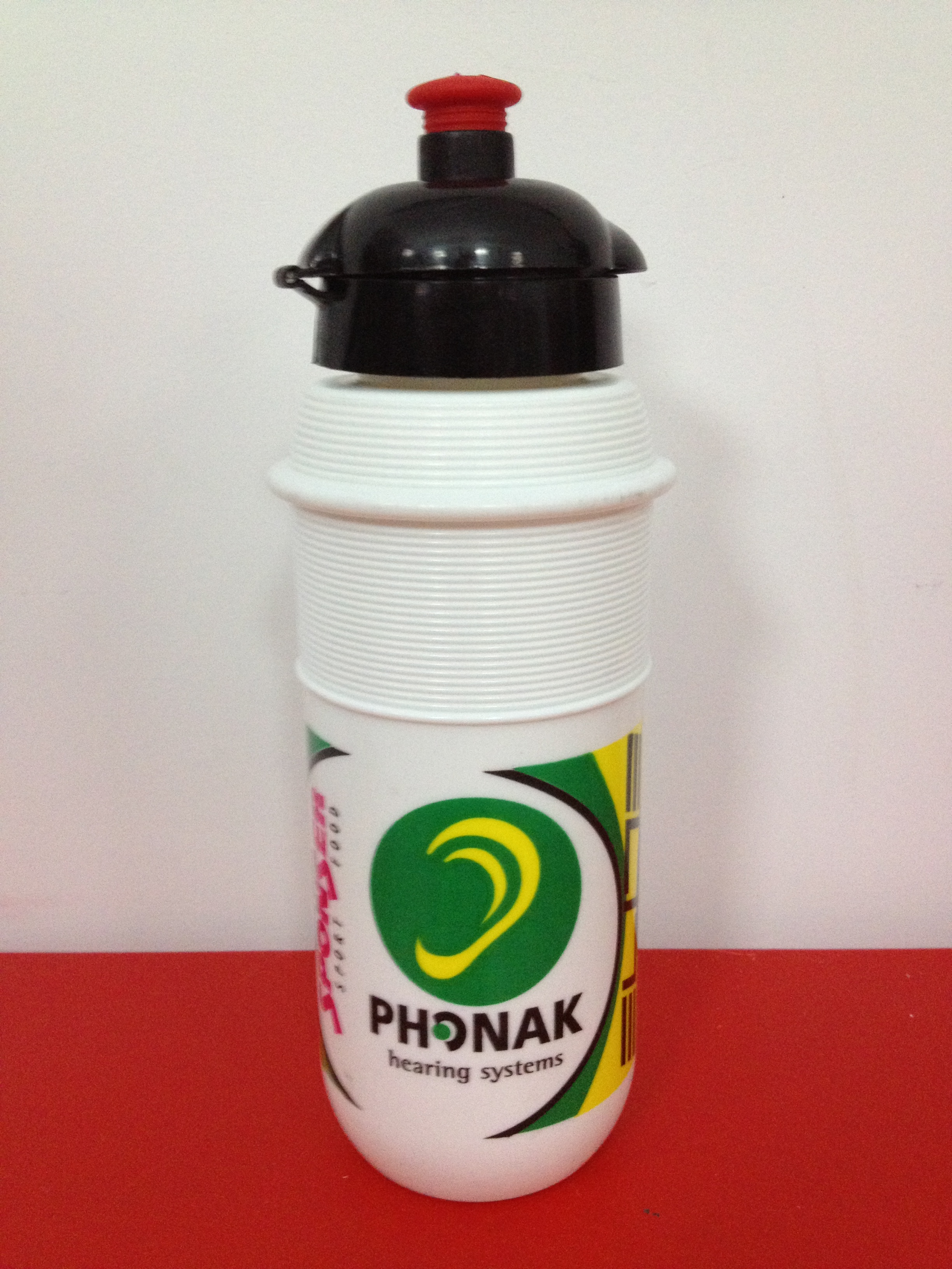 Phonak Hearing Systems 2004