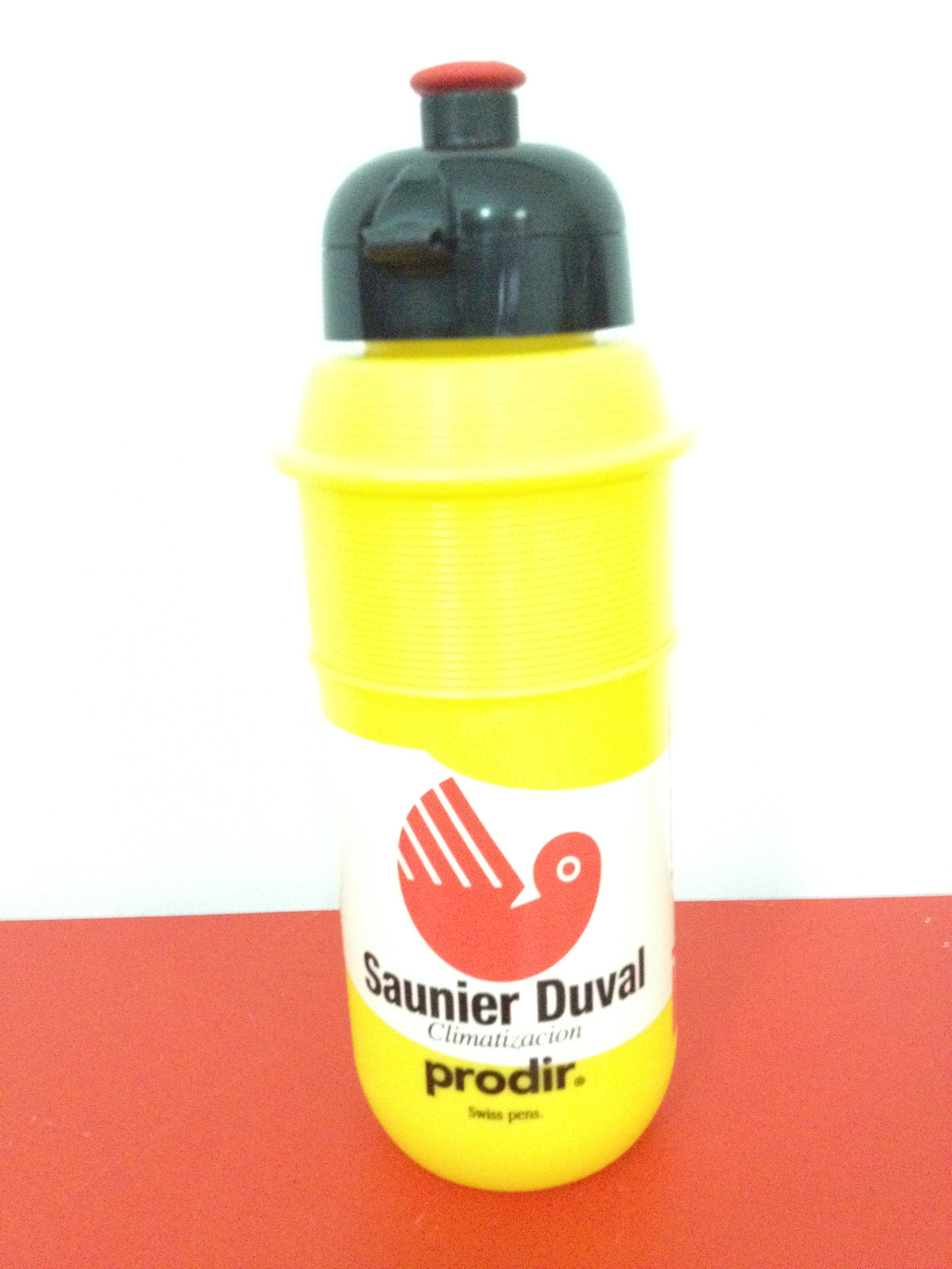 Saunier Duval Prodir 2004 05